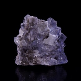 Fluorite with Pyrite La Viesca M04453
